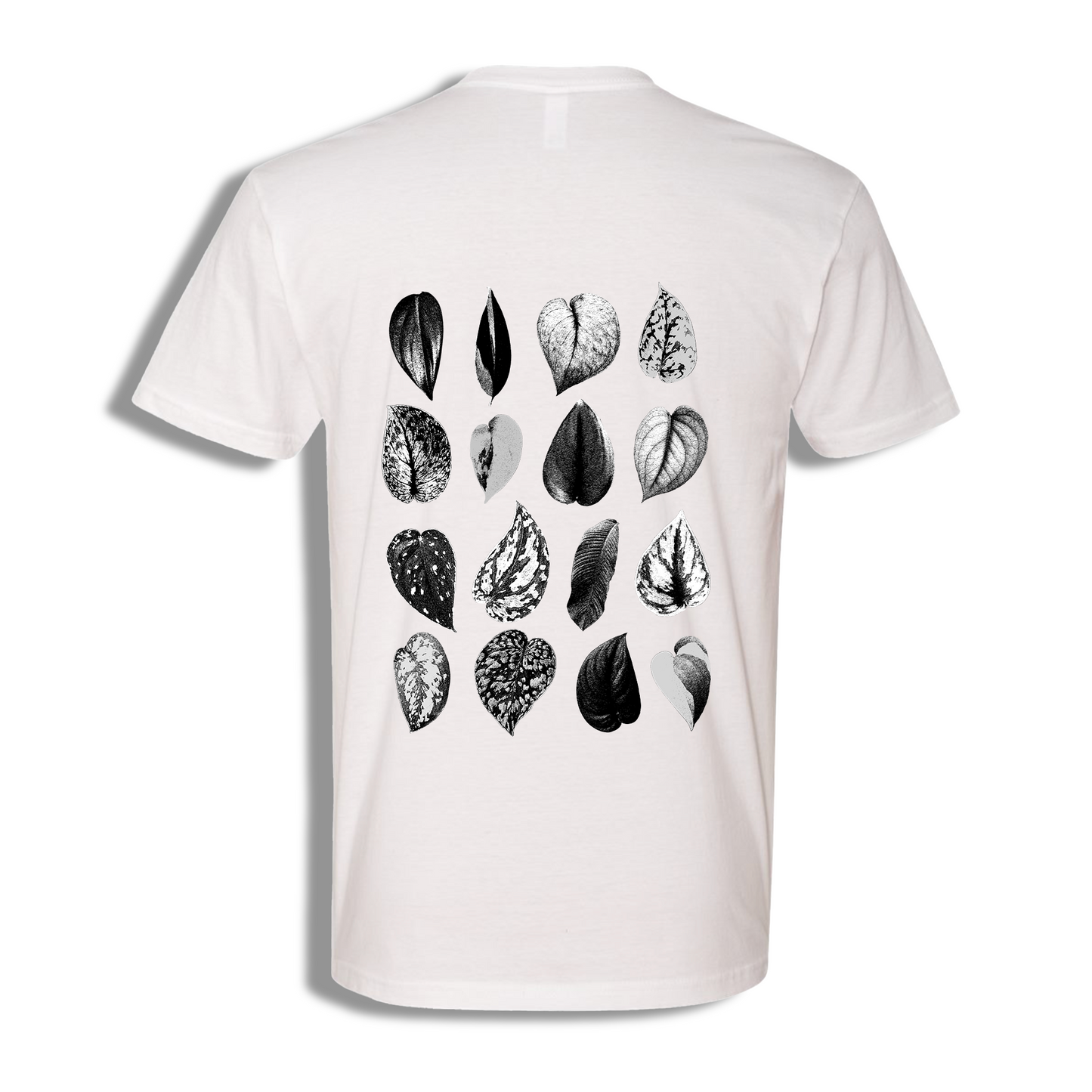 Scindapsus T-Shirt (FLOOD RECOVERY) - see description before purchasing